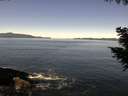 ./images/koeye/fitz-hugh/20200908/fitz-hugh20200908_115001.jpg