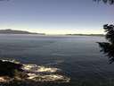 ./images/koeye/fitz-hugh/20200908/fitz-hugh20200908_115501.jpg
