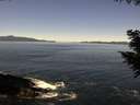 ./images/koeye/fitz-hugh/20200908/fitz-hugh20200908_120001.jpg