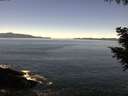 ./images/koeye/fitz-hugh/20200908/fitz-hugh20200908_121501.jpg