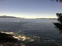 ./images/koeye/fitz-hugh/20200908/fitz-hugh20200908_122001.jpg