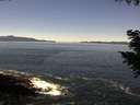 ./images/koeye/fitz-hugh/20200908/fitz-hugh20200908_122501.jpg