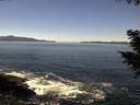 ./images/koeye/fitz-hugh/20200908/fitz-hugh20200908_124001.jpg