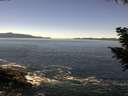 ./images/koeye/fitz-hugh/20200908/fitz-hugh20200908_124501.jpg