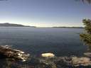 ./images/koeye/fitz-hugh/20200908/fitz-hugh20200908_132502.jpg