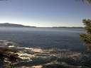 ./images/koeye/fitz-hugh/20200908/fitz-hugh20200908_134002.jpg