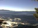 ./images/koeye/fitz-hugh/20200908/fitz-hugh20200908_134502.jpg