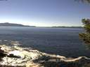 ./images/koeye/fitz-hugh/20200908/fitz-hugh20200908_135502.jpg