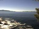 ./images/koeye/fitz-hugh/20200908/fitz-hugh20200908_140002.jpg