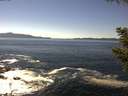 ./images/koeye/fitz-hugh/20200908/fitz-hugh20200908_143501.jpg