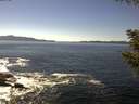 ./images/koeye/fitz-hugh/20200908/fitz-hugh20200908_144001.jpg