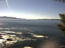 ./images/koeye/fitz-hugh/20200908/fitz-hugh20200908_150501.jpg
