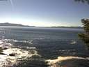 ./images/koeye/fitz-hugh/20200908/fitz-hugh20200908_151501.jpg