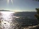 ./images/koeye/fitz-hugh/20200908/fitz-hugh20200908_161502.jpg
