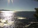 ./images/koeye/fitz-hugh/20200908/fitz-hugh20200908_162002.jpg