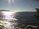 ./images/koeye/fitz-hugh/20200908/fitz-hugh20200908_162502.jpg