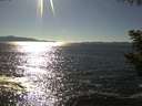 ./images/koeye/fitz-hugh/20200908/fitz-hugh20200908_163502.jpg