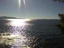 ./images/koeye/fitz-hugh/20200908/fitz-hugh20200908_164002.jpg