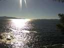 ./images/koeye/fitz-hugh/20200908/fitz-hugh20200908_164502.jpg
