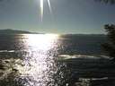 ./images/koeye/fitz-hugh/20200908/fitz-hugh20200908_165502.jpg