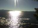 ./images/koeye/fitz-hugh/20200908/fitz-hugh20200908_170502.jpg