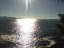 ./images/koeye/fitz-hugh/20200908/fitz-hugh20200908_171002.jpg