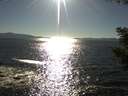 ./images/koeye/fitz-hugh/20200908/fitz-hugh20200908_172001.jpg