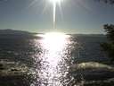 ./images/koeye/fitz-hugh/20200908/fitz-hugh20200908_172501.jpg