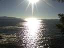 ./images/koeye/fitz-hugh/20200908/fitz-hugh20200908_173501.jpg