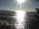 ./images/koeye/fitz-hugh/20200908/fitz-hugh20200908_174001.jpg