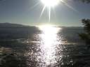 ./images/koeye/fitz-hugh/20200908/fitz-hugh20200908_174501.jpg