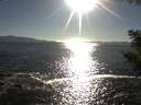 ./images/koeye/fitz-hugh/20200908/fitz-hugh20200908_175001.jpg