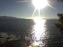 ./images/koeye/fitz-hugh/20200908/fitz-hugh20200908_180501.jpg