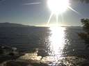 ./images/koeye/fitz-hugh/20200908/fitz-hugh20200908_181001.jpg