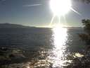 ./images/koeye/fitz-hugh/20200908/fitz-hugh20200908_181501.jpg