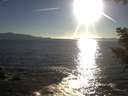 ./images/koeye/fitz-hugh/20200908/fitz-hugh20200908_182001.jpg