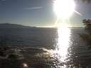 ./images/koeye/fitz-hugh/20200908/fitz-hugh20200908_182501.jpg
