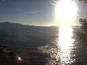 ./images/koeye/fitz-hugh/20200908/fitz-hugh20200908_184001.jpg