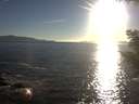 ./images/koeye/fitz-hugh/20200908/fitz-hugh20200908_184501.jpg