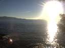 ./images/koeye/fitz-hugh/20200908/fitz-hugh20200908_185501.jpg