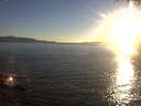 ./images/koeye/fitz-hugh/20200908/fitz-hugh20200908_192002.jpg