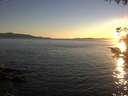 ./images/koeye/fitz-hugh/20200908/fitz-hugh20200908_193501.jpg