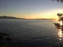./images/koeye/fitz-hugh/20200908/fitz-hugh20200908_194002.jpg