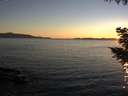 ./images/koeye/fitz-hugh/20200908/fitz-hugh20200908_195002.jpg