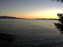 ./images/koeye/fitz-hugh/20200908/fitz-hugh20200908_195502.jpg