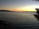 ./images/koeye/fitz-hugh/20200908/fitz-hugh20200908_200502.jpg