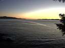 ./images/koeye/fitz-hugh/20200908/fitz-hugh20200908_202002.jpg