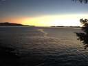 ./images/koeye/fitz-hugh/20200908/fitz-hugh20200908_203501.jpg