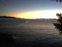 ./images/koeye/fitz-hugh/20200908/fitz-hugh20200908_204001.jpg
