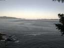./images/koeye/fitz-hugh/20200909/fitz-hugh20200909_062501.jpg
